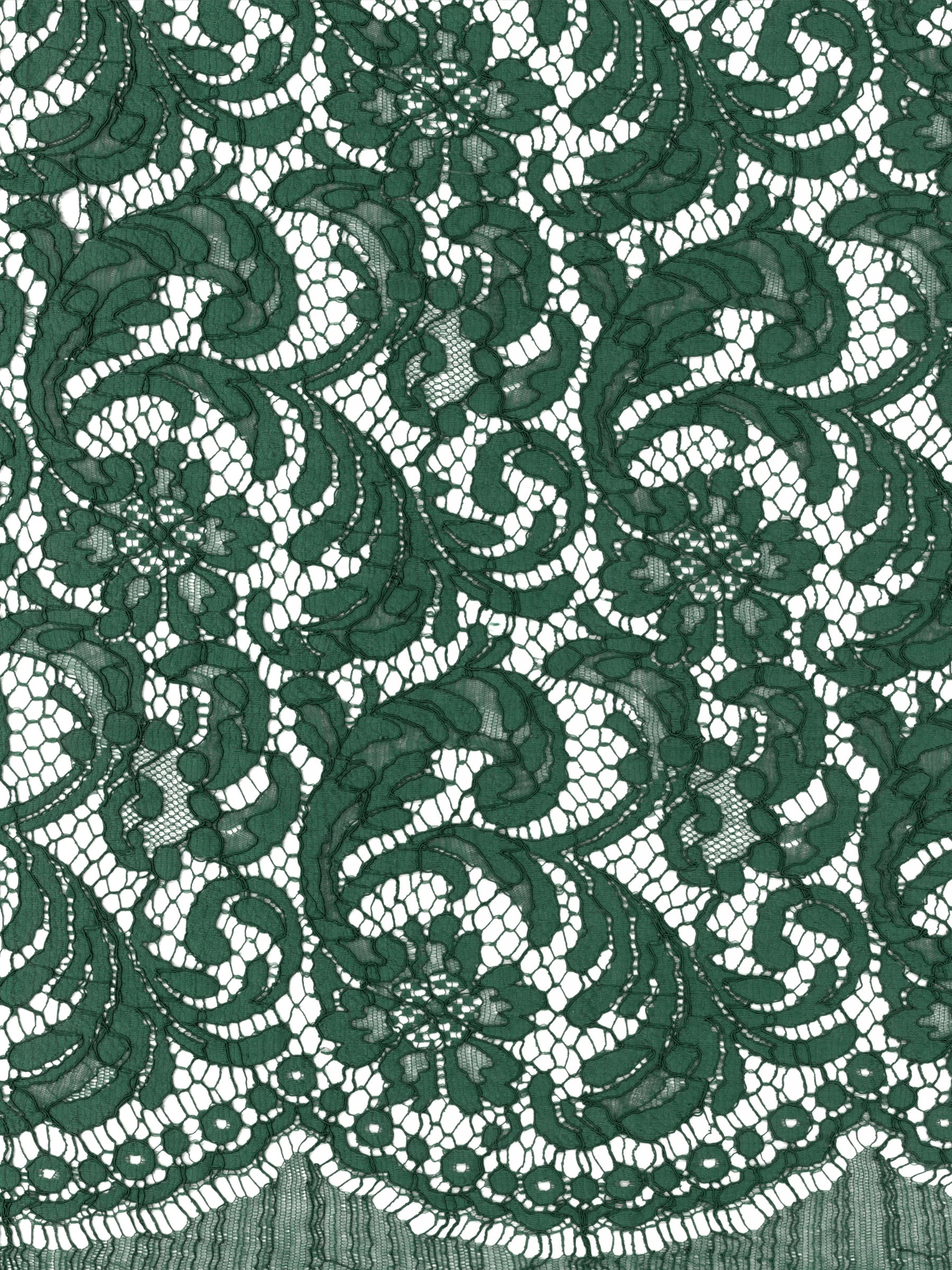 Dentelle cordée française émeraude Eco - LA4007