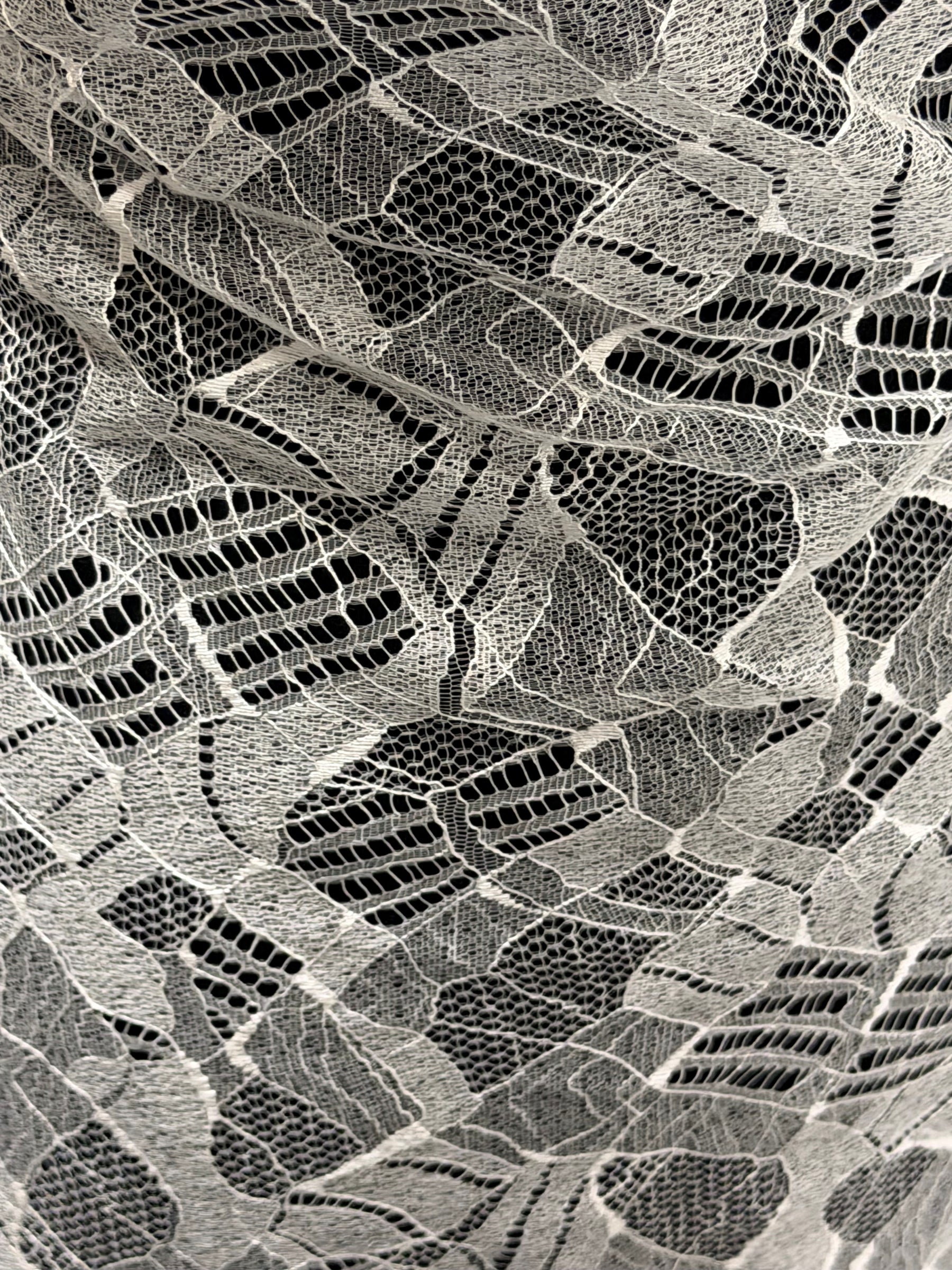 Dentelle ivoire - LA6002