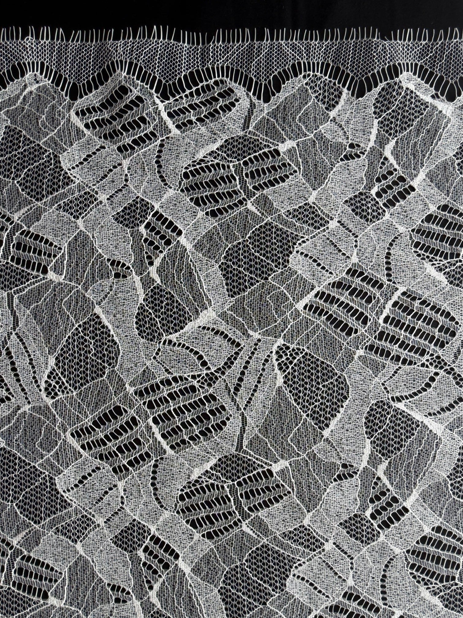 Dentelle ivoire - LA6002