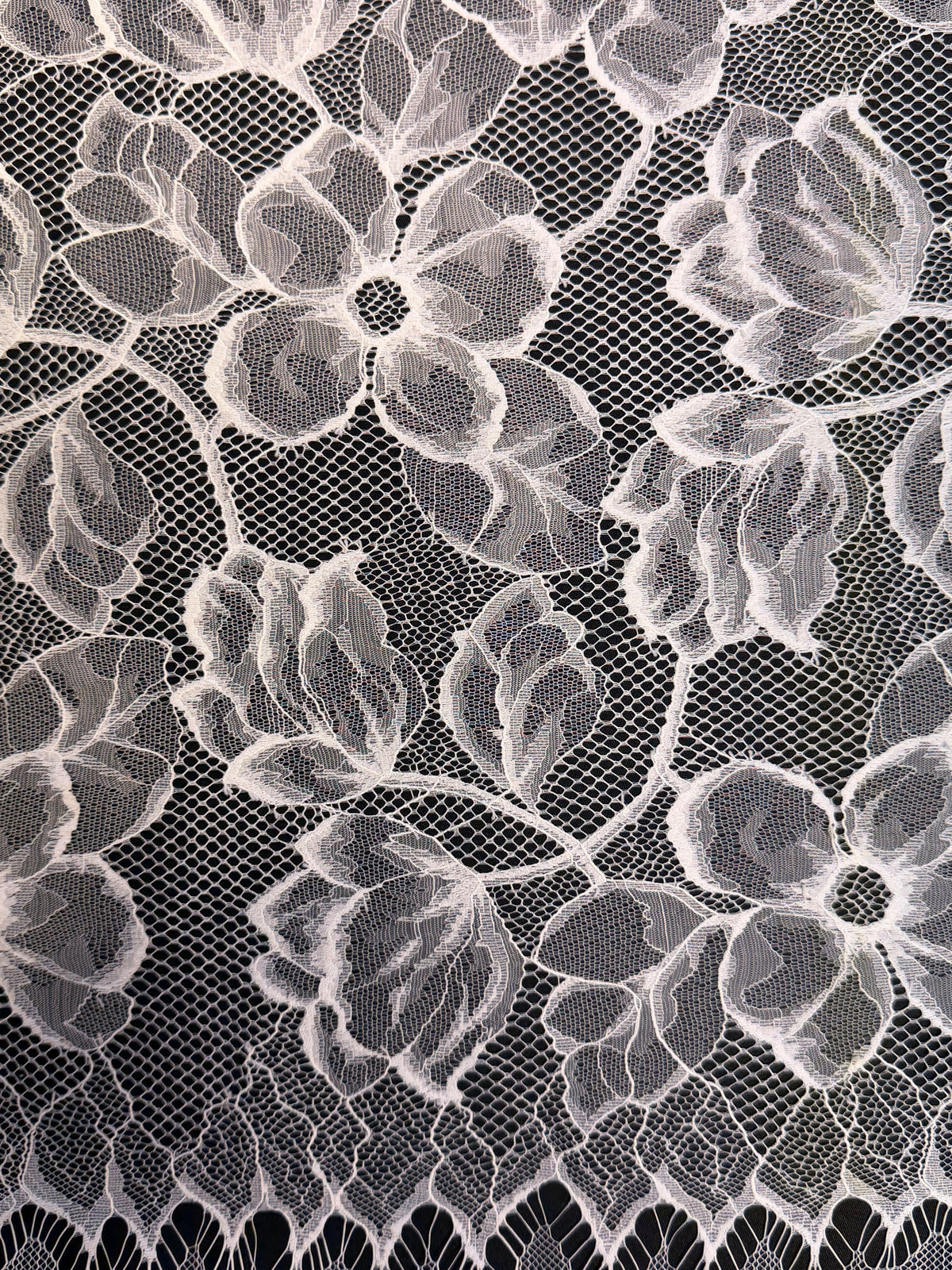 Dentelle Éco Ivoire - LA6003