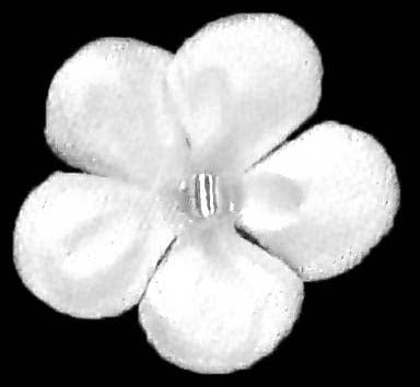 Fleurs en satin ivoire pâle - M14 (Sachet de 144)