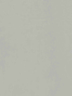 Organza de soie (137 cm/54") - Evolution (couleurs claires)