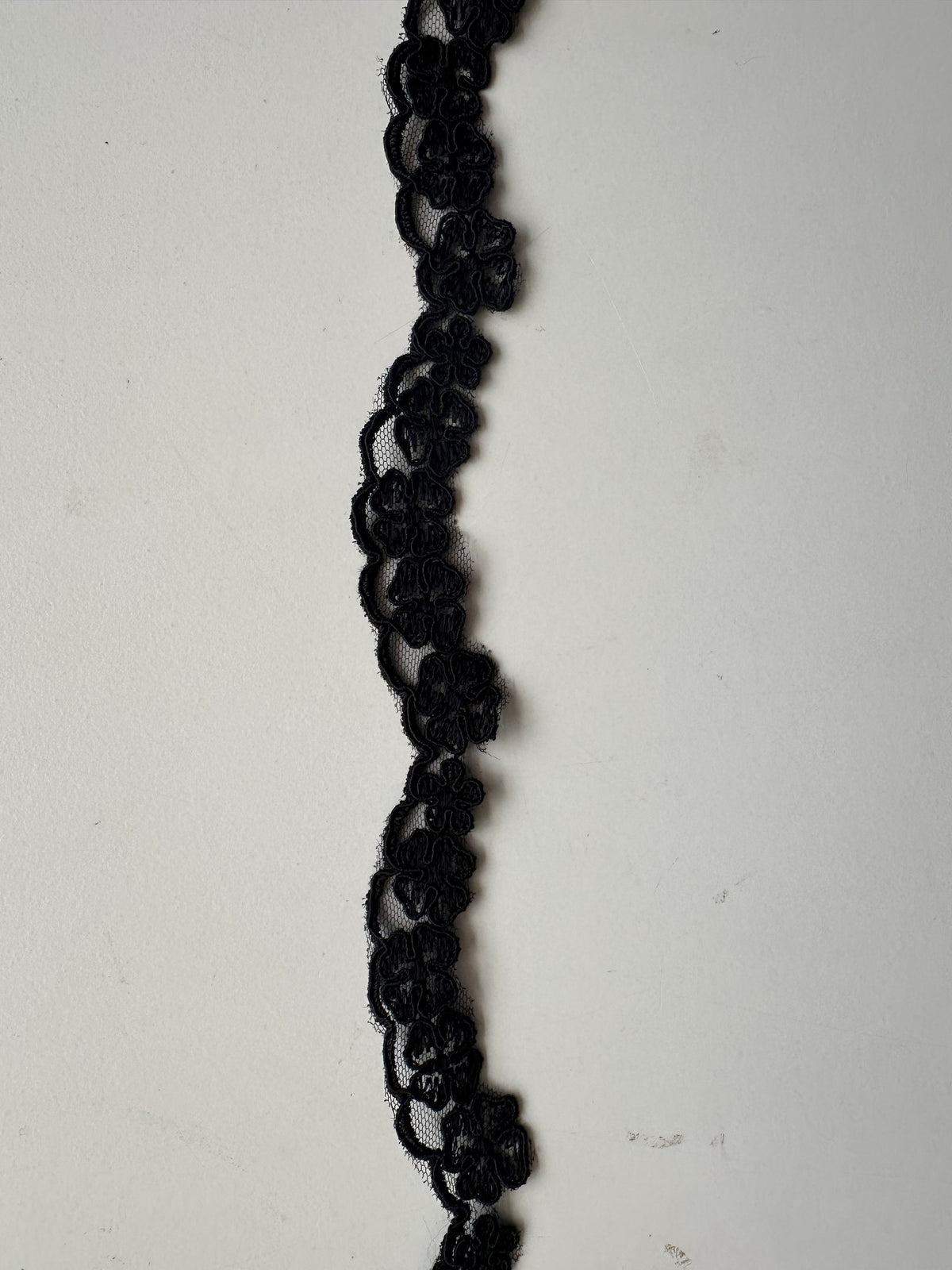 Bordure en dentelle noire cordée - T 457 Non perlée (CF)