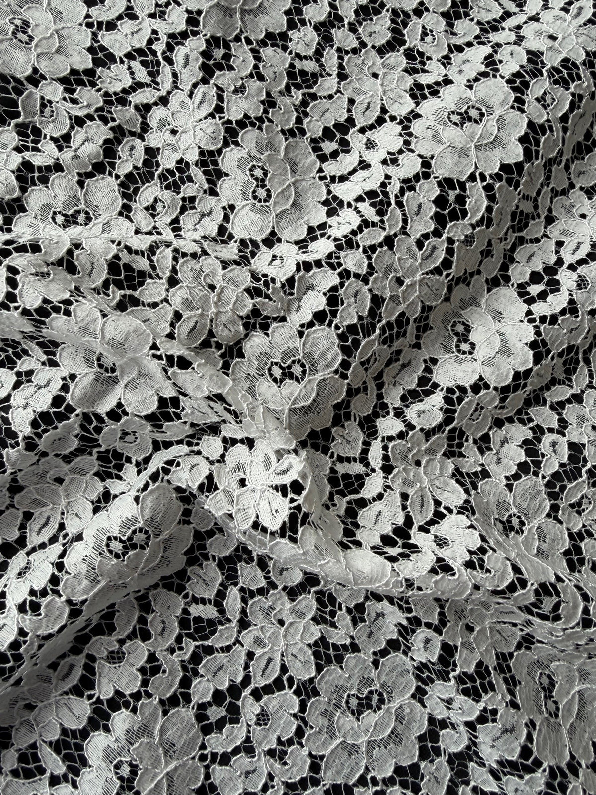 Dentelle Chantilly Cordonnée Ivoire - Norben