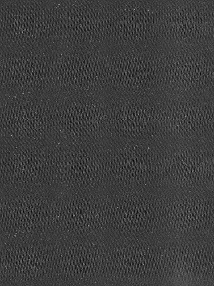 Tulle ivoire à paillettes argentées - P15