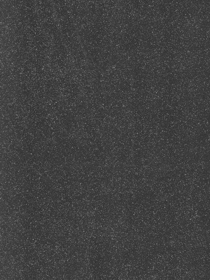 Tulle blanc à paillettes argentées - P15