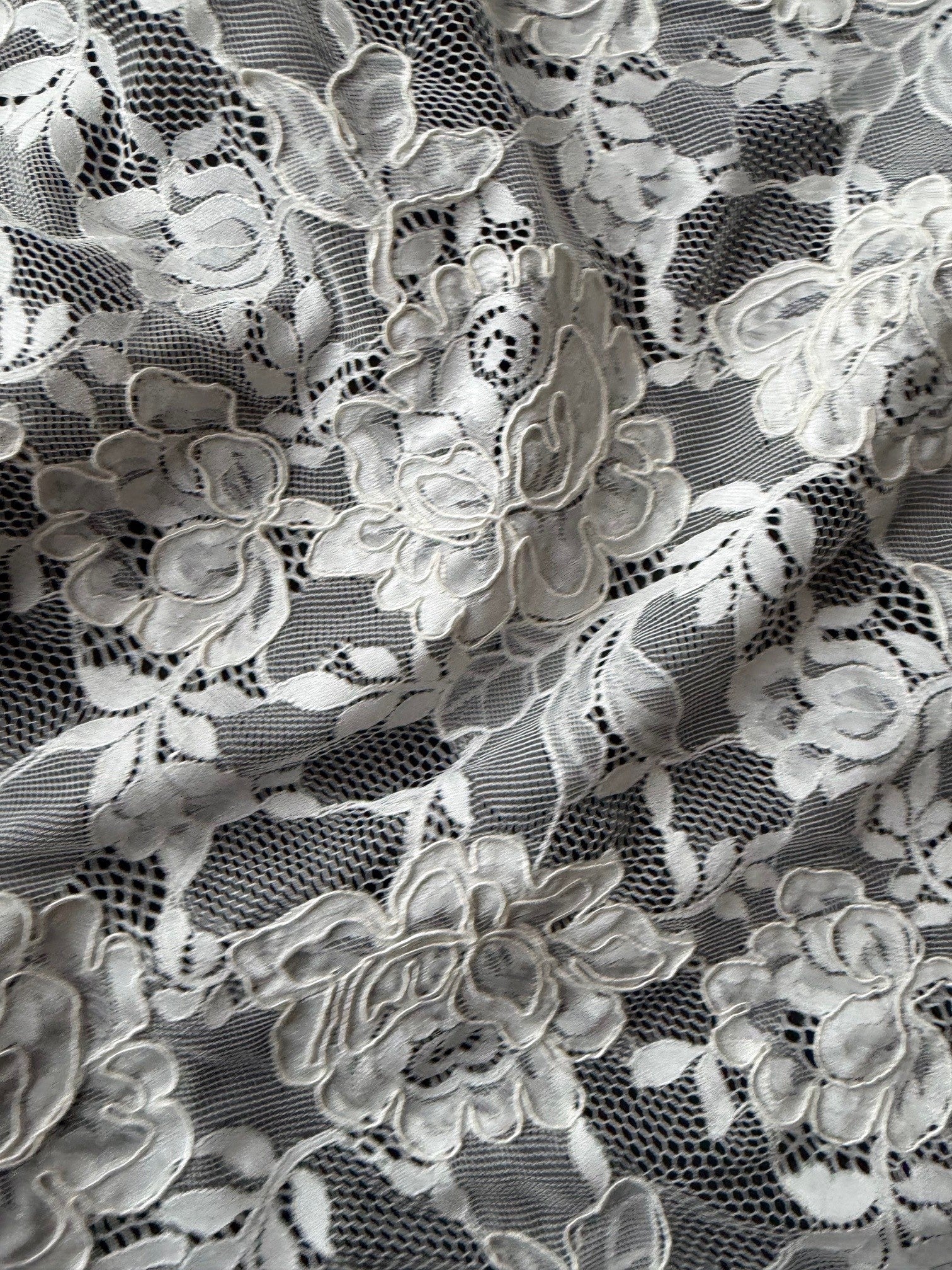 Dentelle cordée ivoire - P213