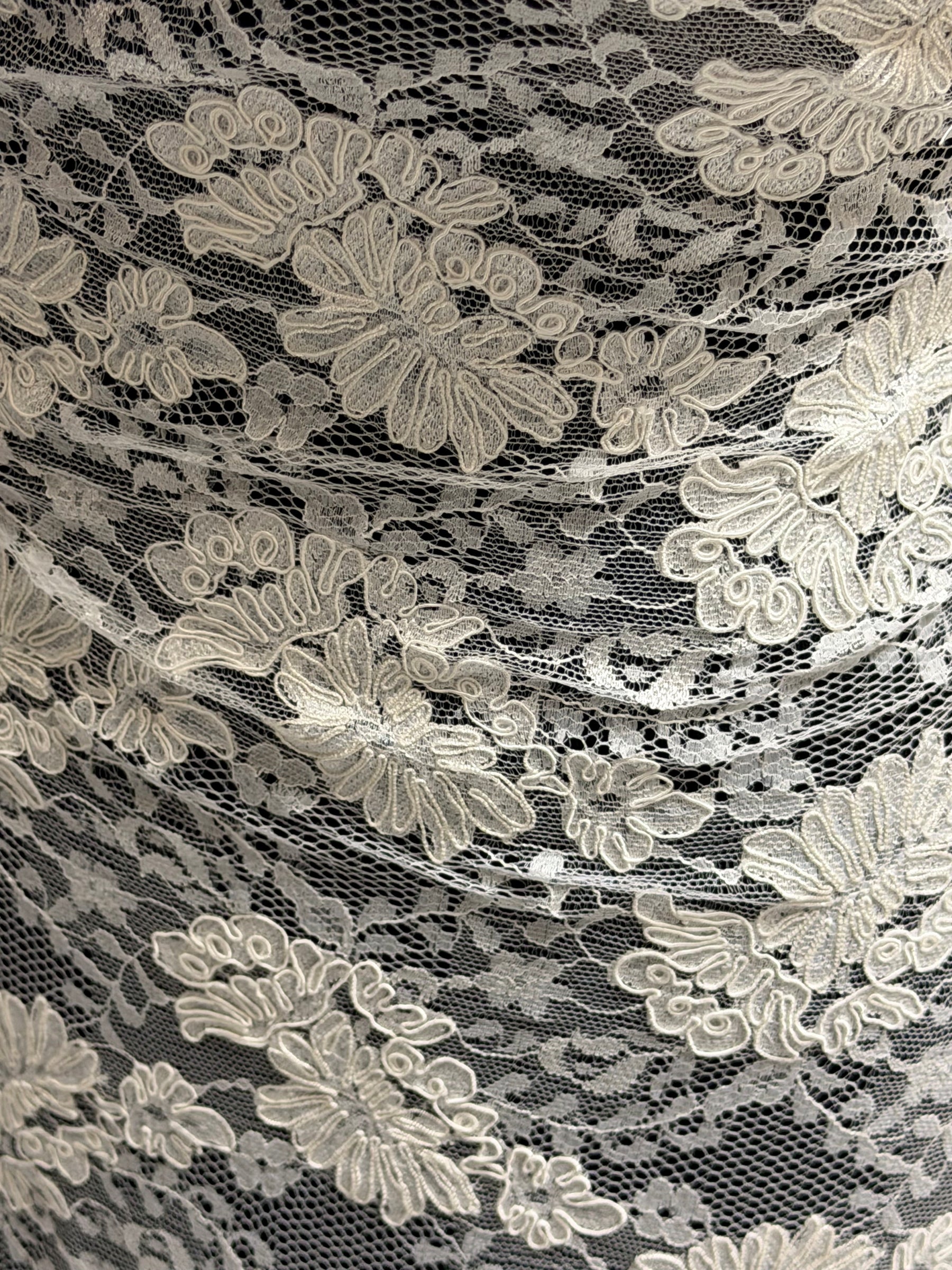 Dentelle de mariage ivoire pâle à cordon - P379