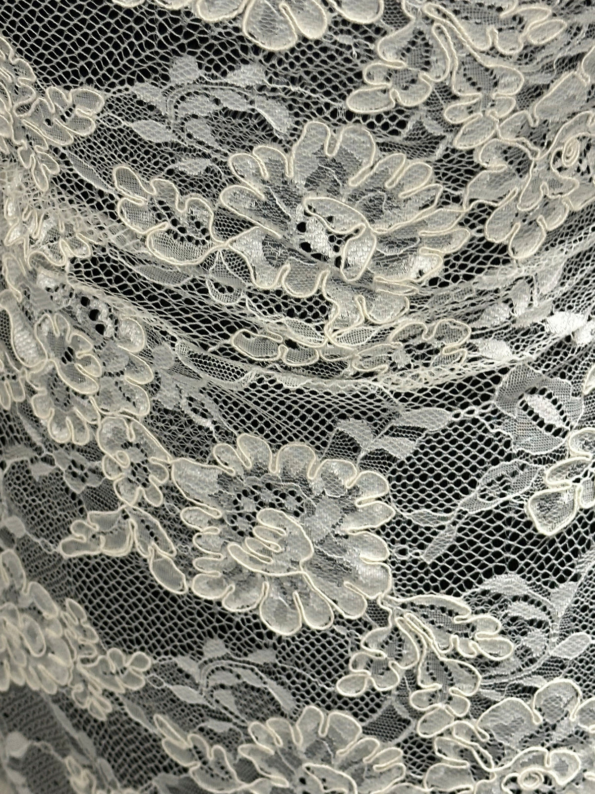 Ivory Corded Lace - P442