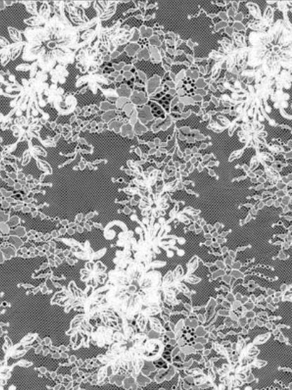 Ivory Corded Lace - P562