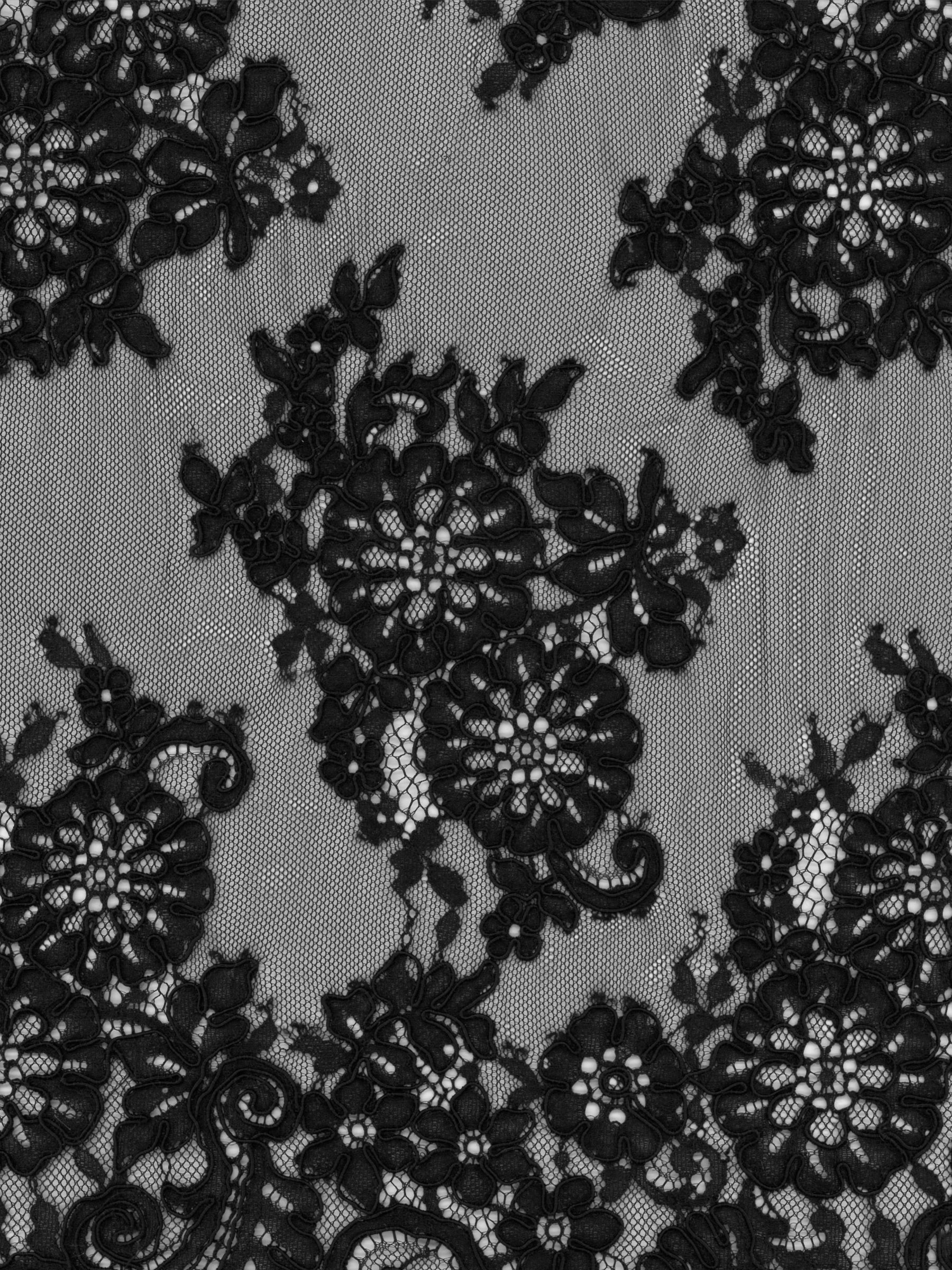 Dentelle cordée noire - P655