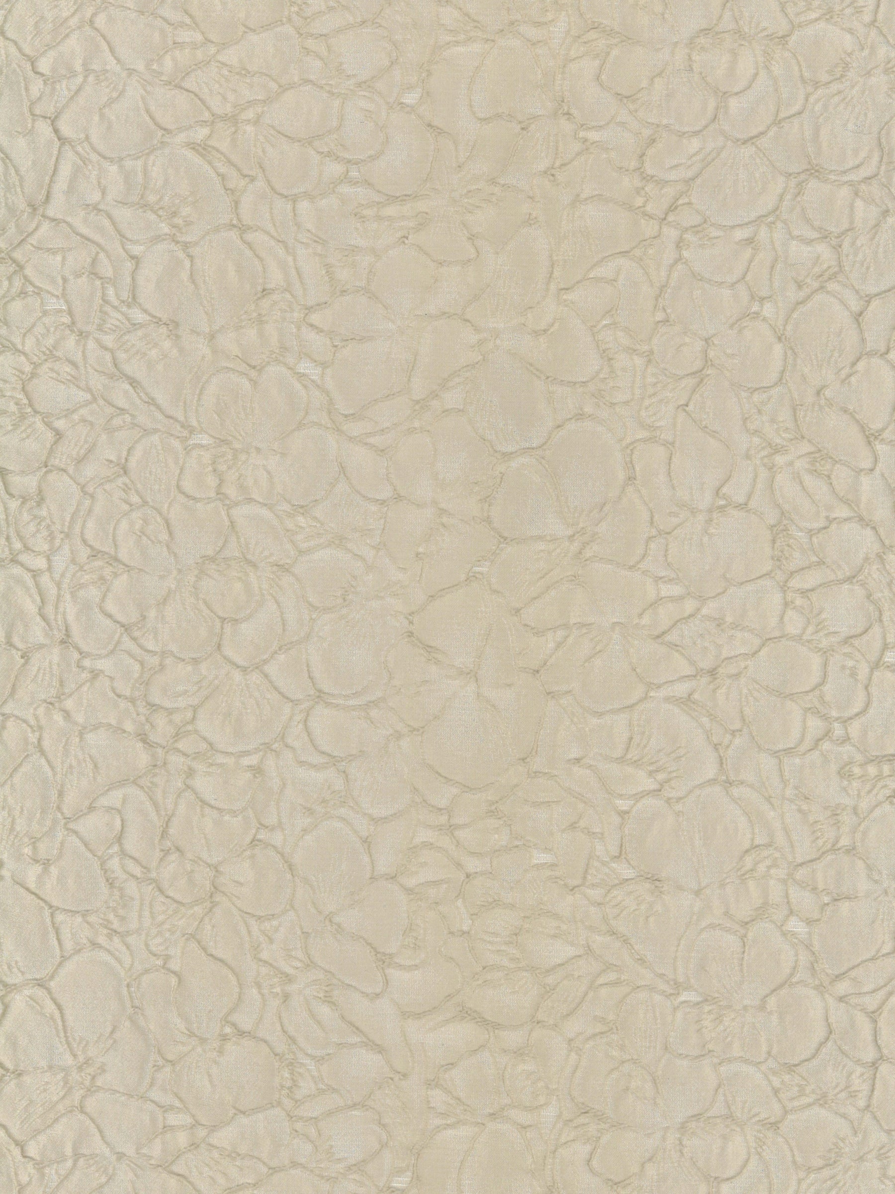 Jacquard café - P659