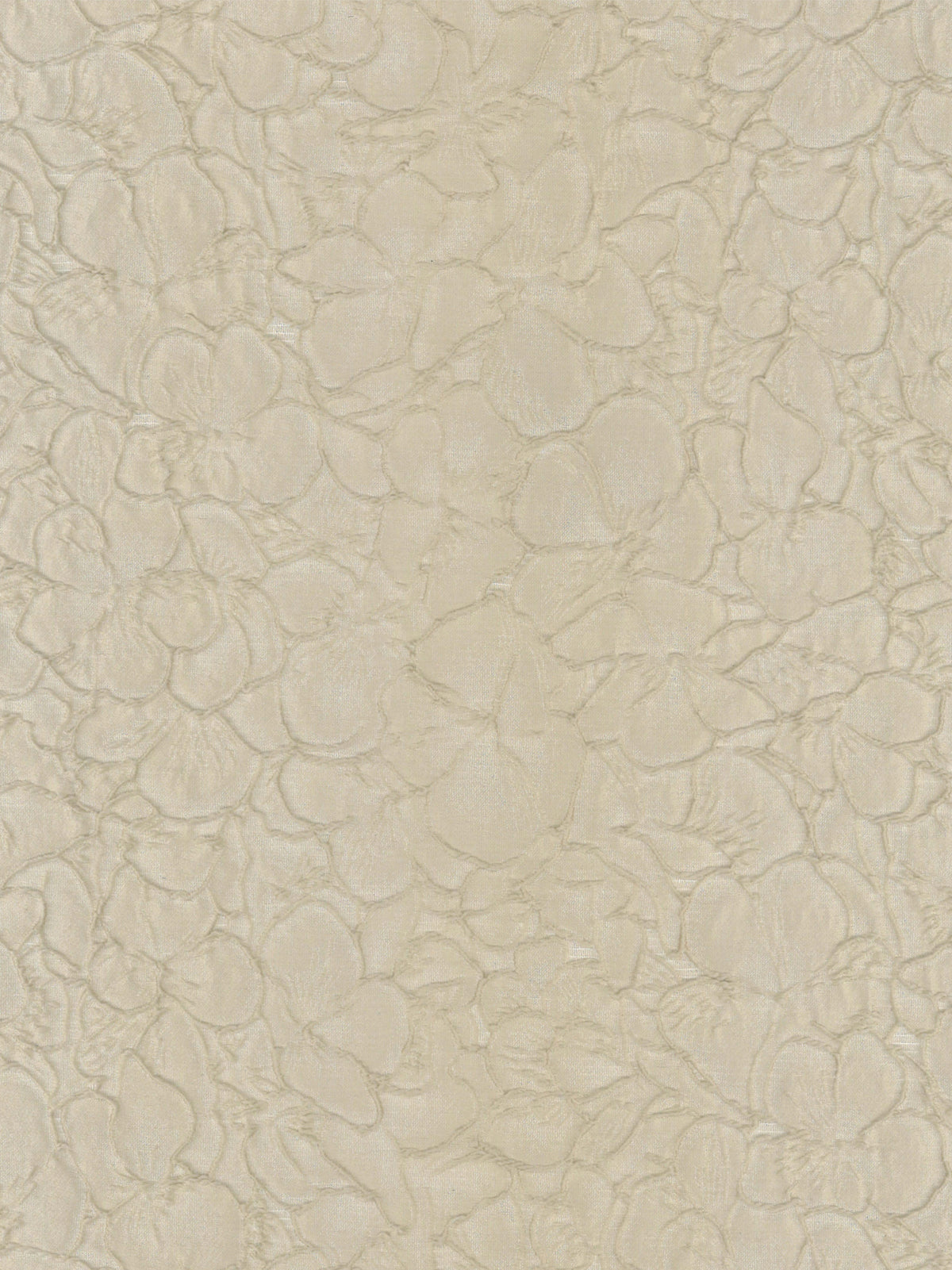 Jacquard café - P659