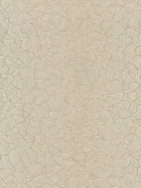 Jacquard café - P659