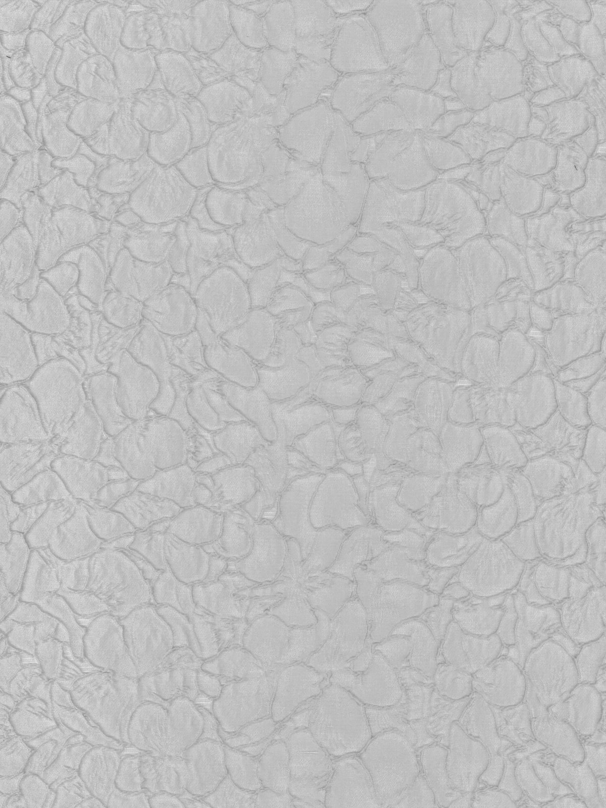 Jacquard œuf de cane - P659