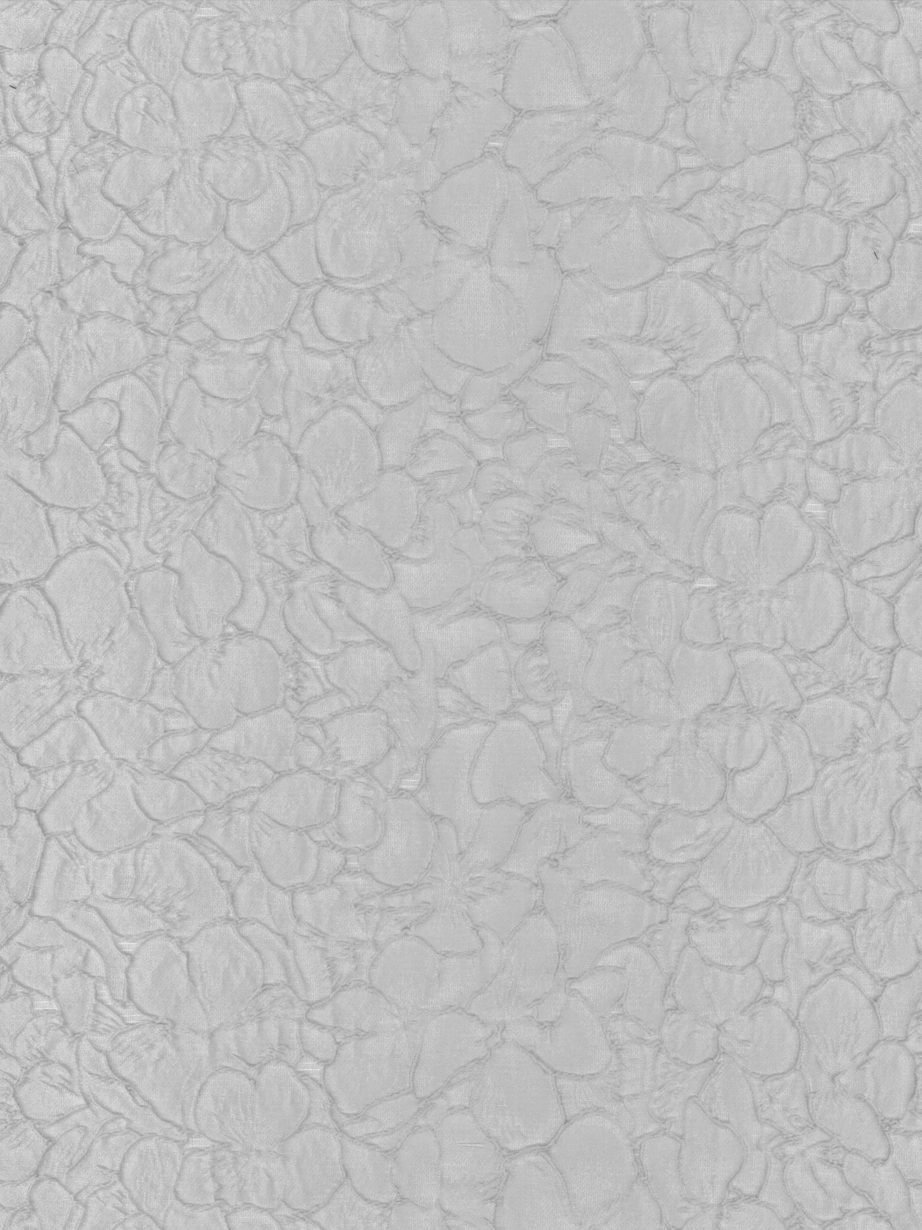 Jacquard œuf de cane - P659