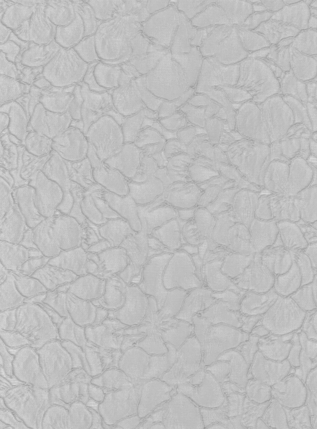 Jacquard œuf de cane - P659