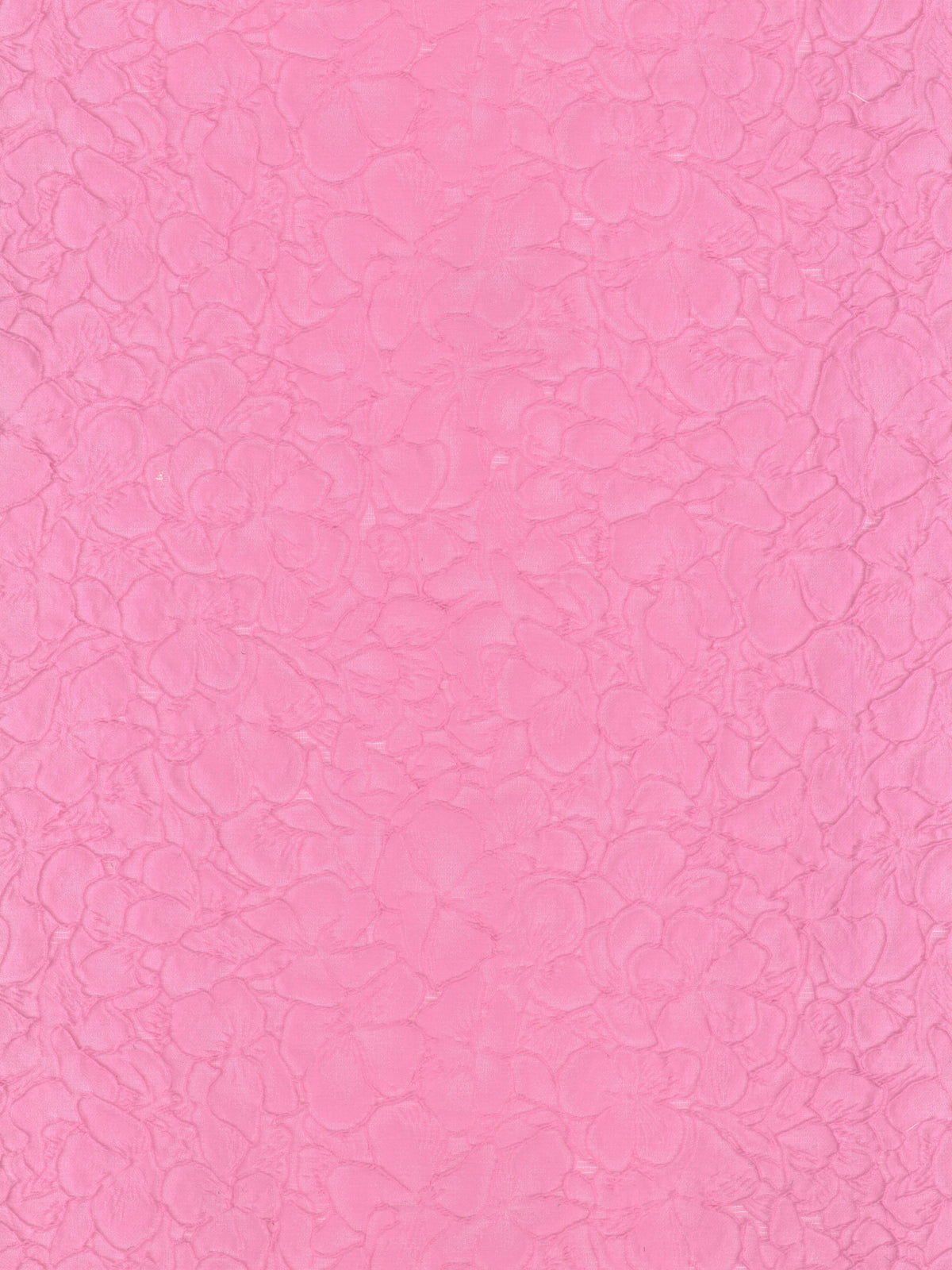 Jacquard rose - P659