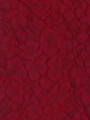 Jacquard Lie de vin - P659
