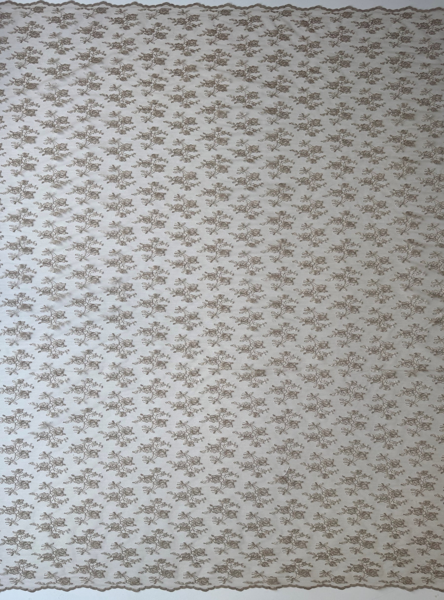 Dentelle Rachel Café - P856
