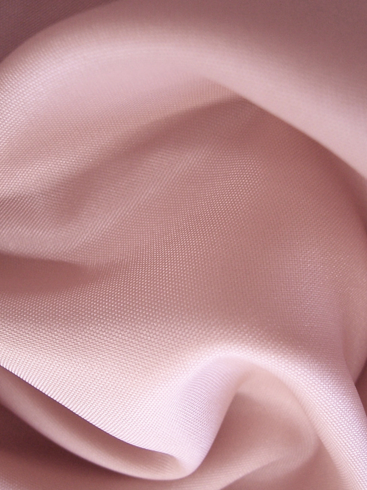 Shell Polyester Lining Fabric - Renaissance