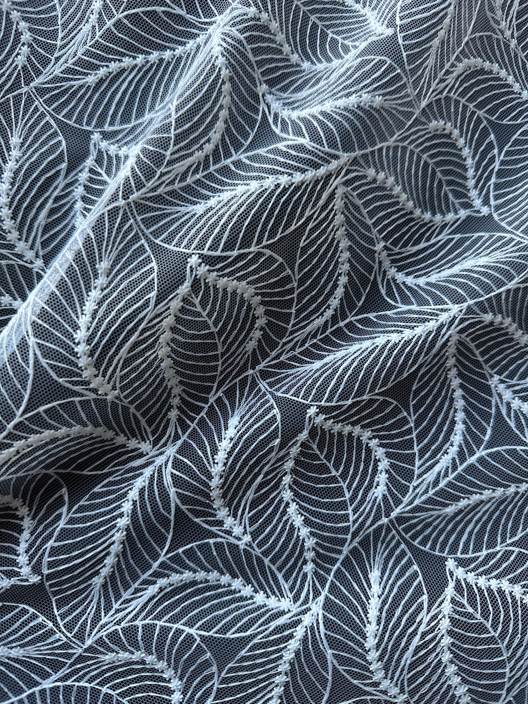 Dentelle Raschel ivoire - Senorita 