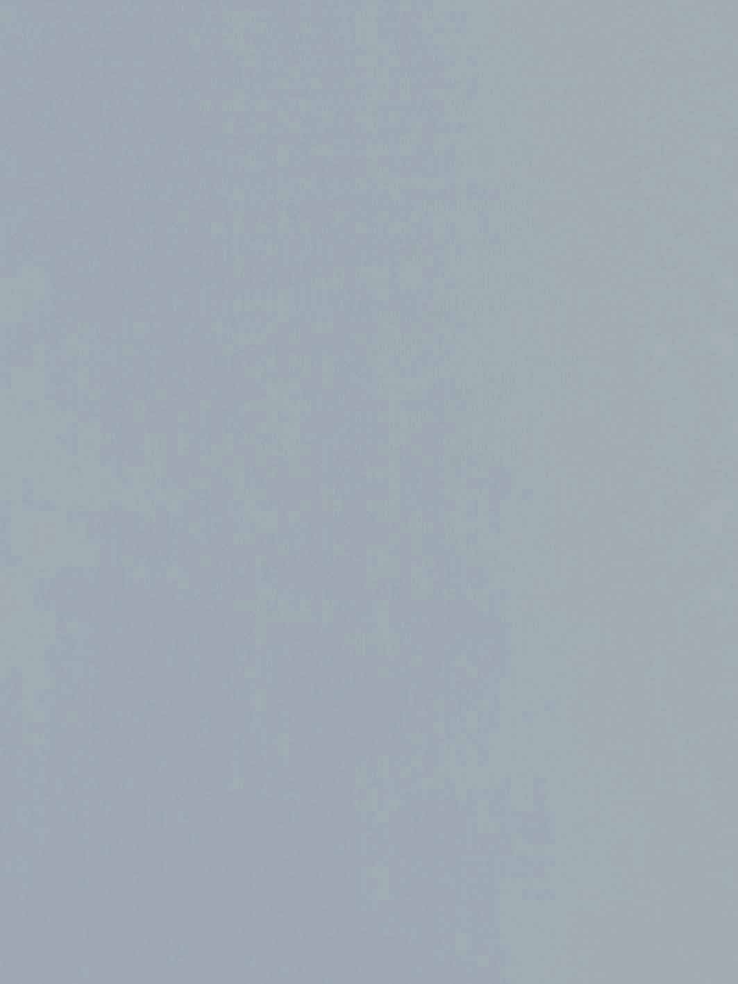 Organza de soie (137 cm/54") - Evolution (couleurs claires)