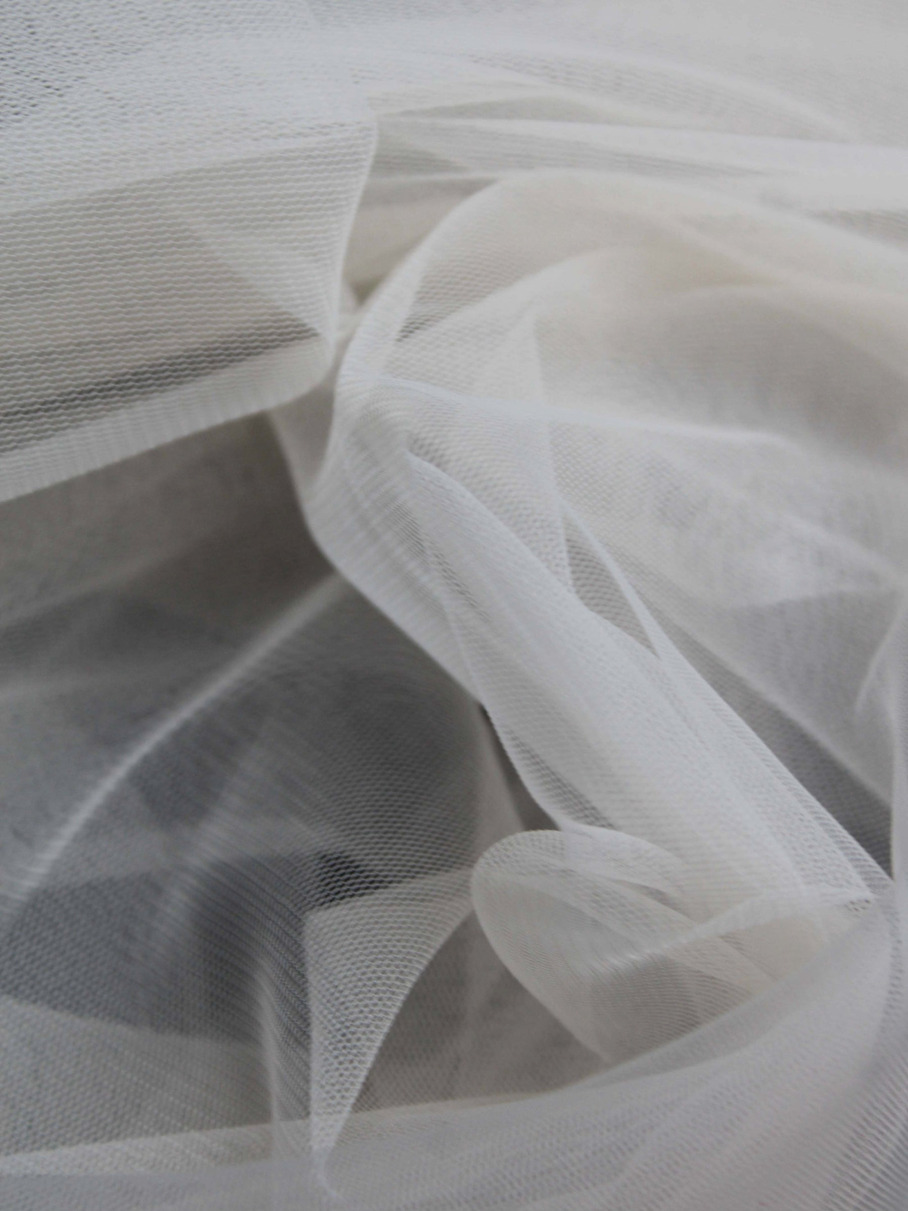 Coquillage (61) Tulle - TU0031