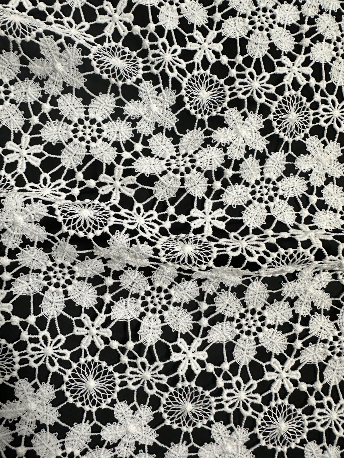 Dentelle guipure ivoire - Dragoon