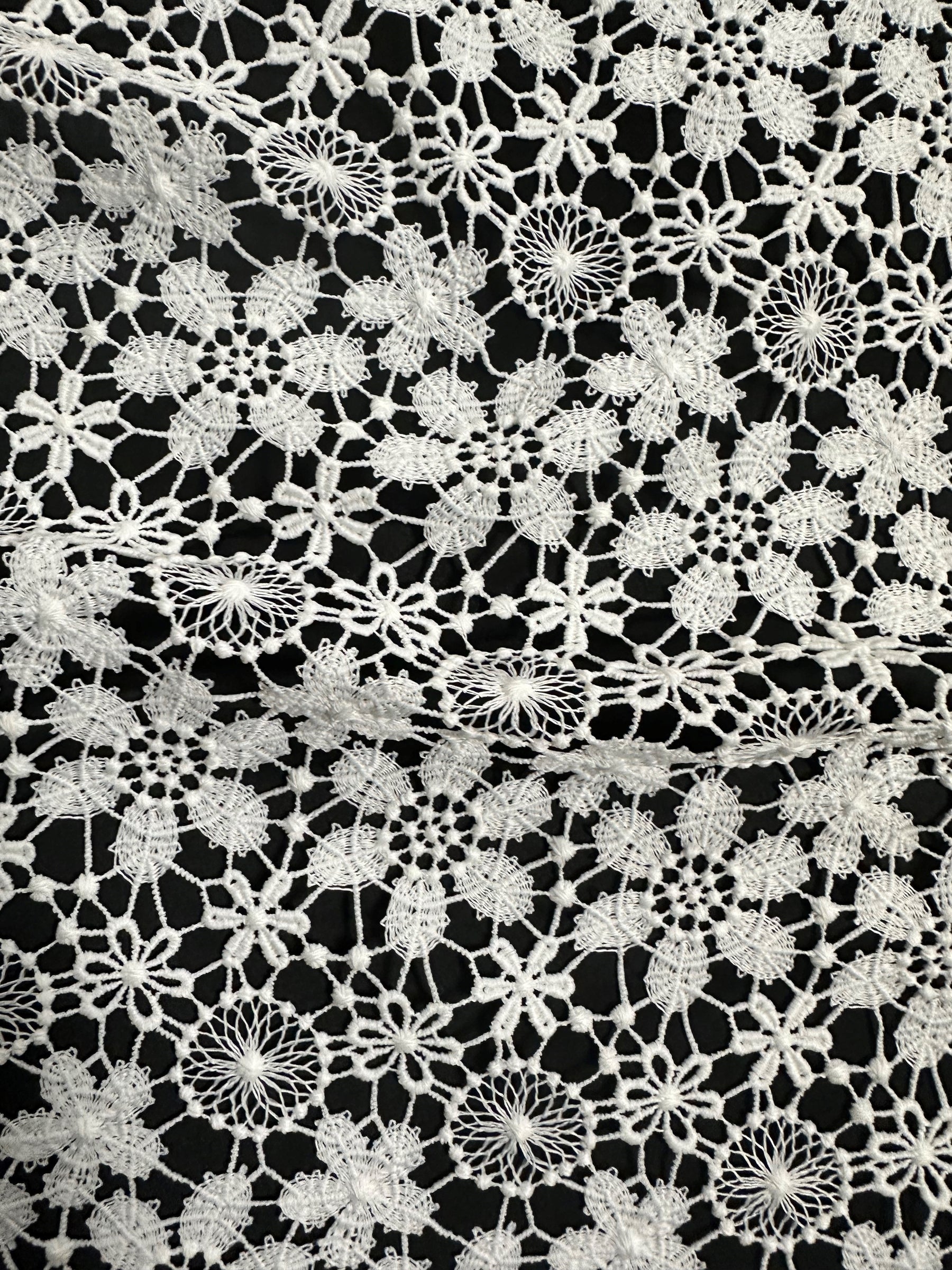 Dentelle guipure ivoire - Dragoon