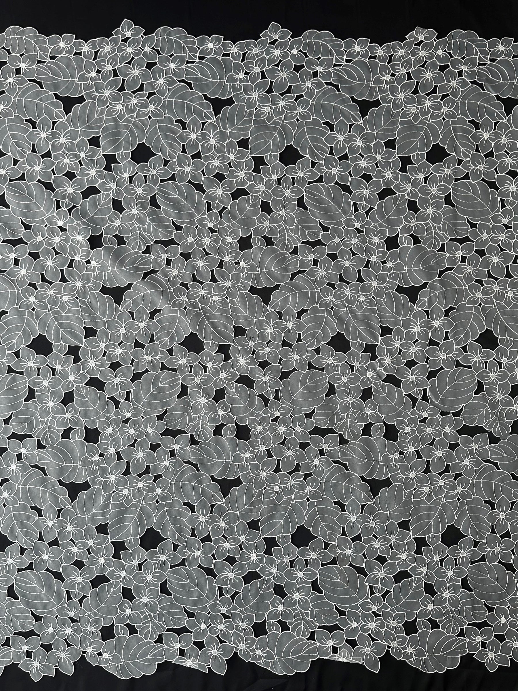 Dentelle organza ivoire - Capacité