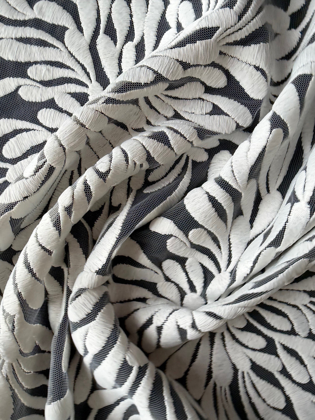 Dentelle brodée ivoire - EB5053