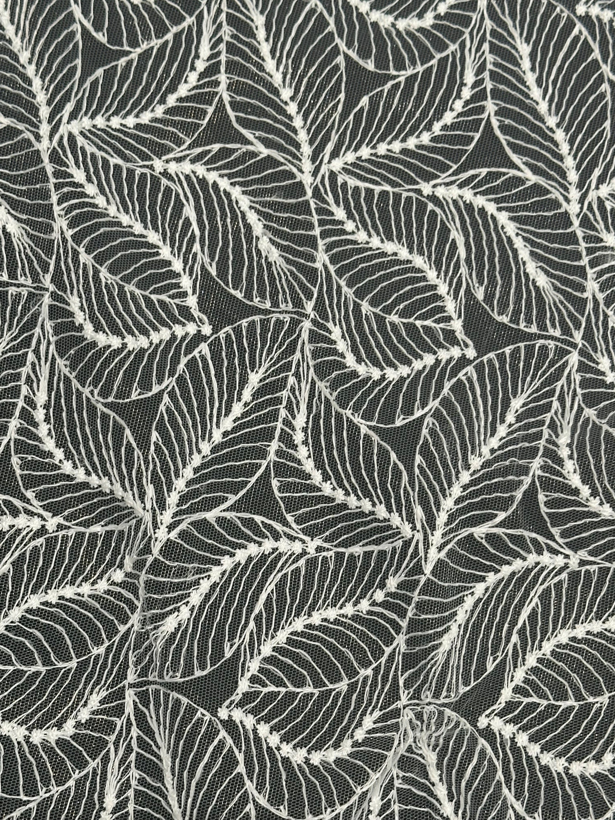 Dentelle Raschel ivoire - Sandra (CF)