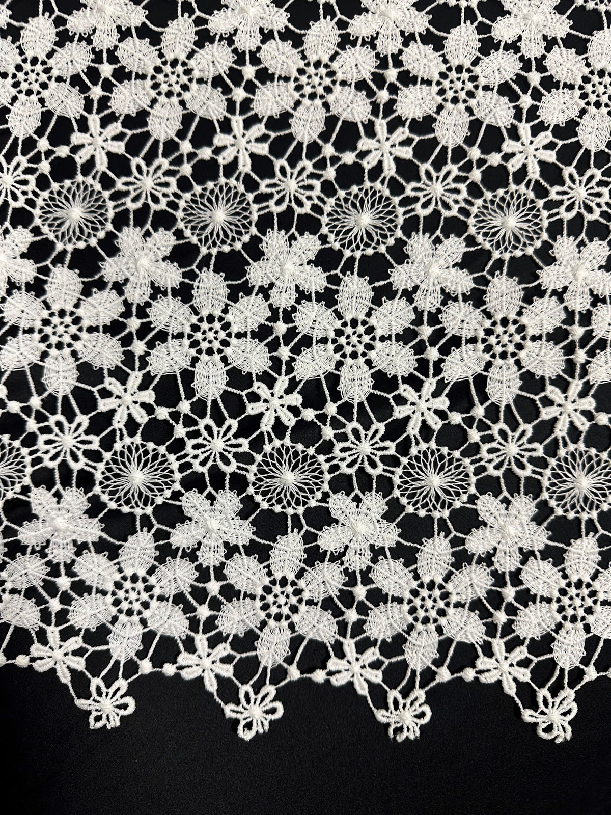 Dentelle guipure ivoire - Dragoon