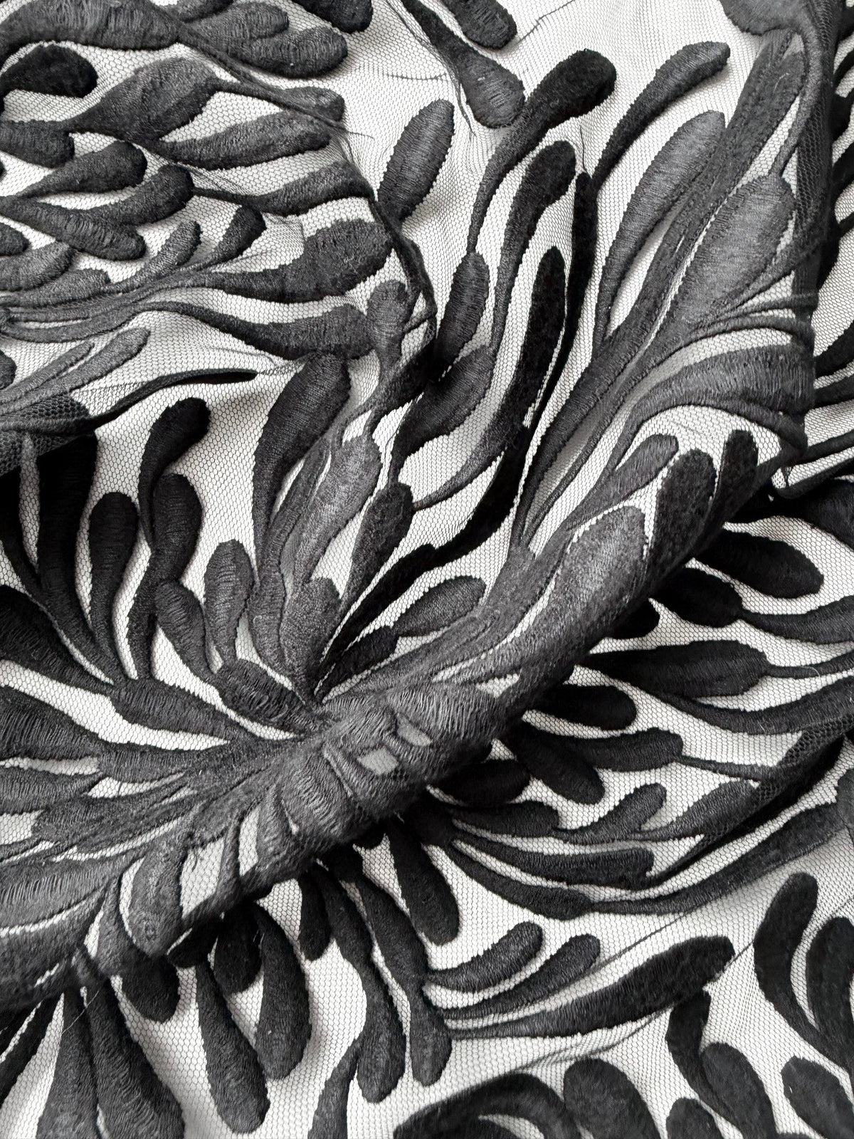 Dentelle brodée noire - EB5053