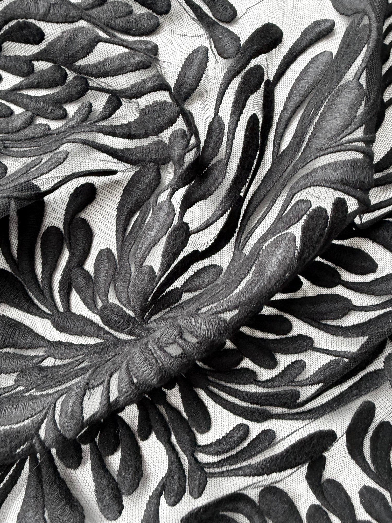 Dentelle brodée noire - EB5053