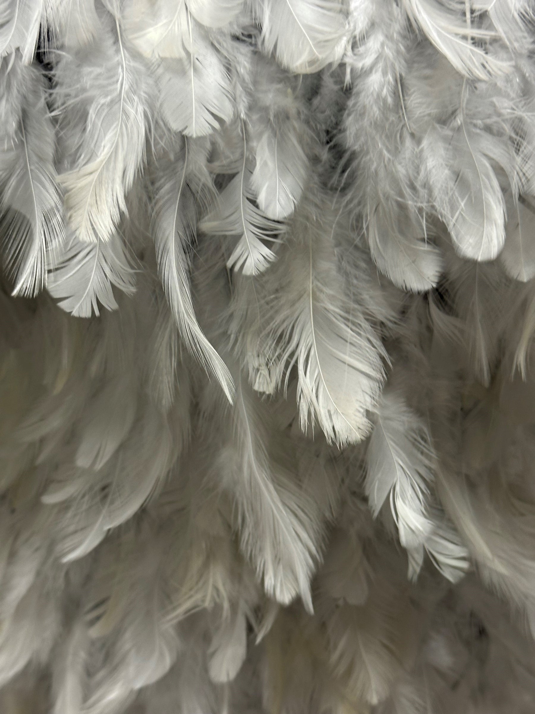 Tulle orné de plumes ivoire - Plume