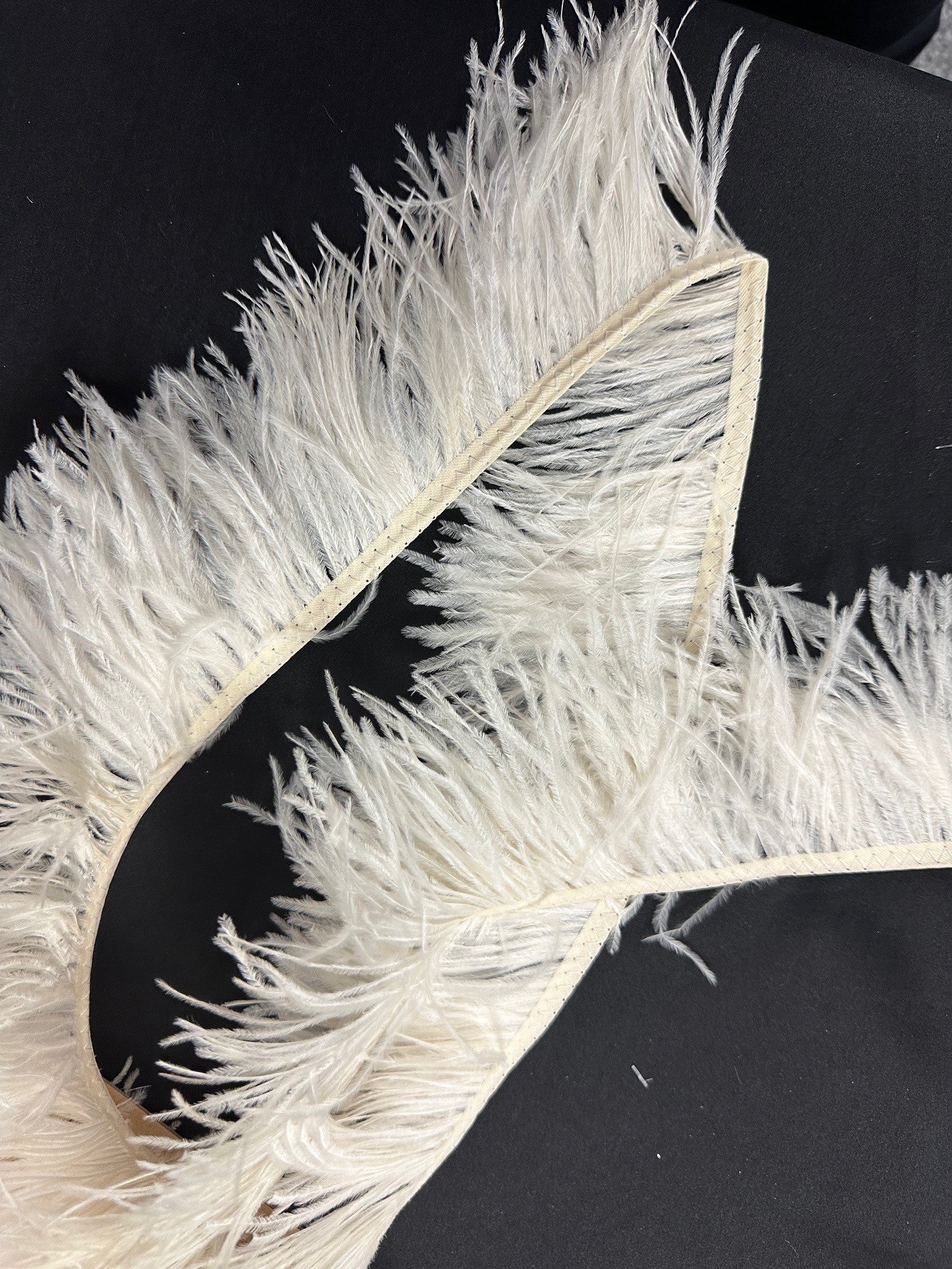 Garniture en plumes d'ivoire - Autruche (CF)