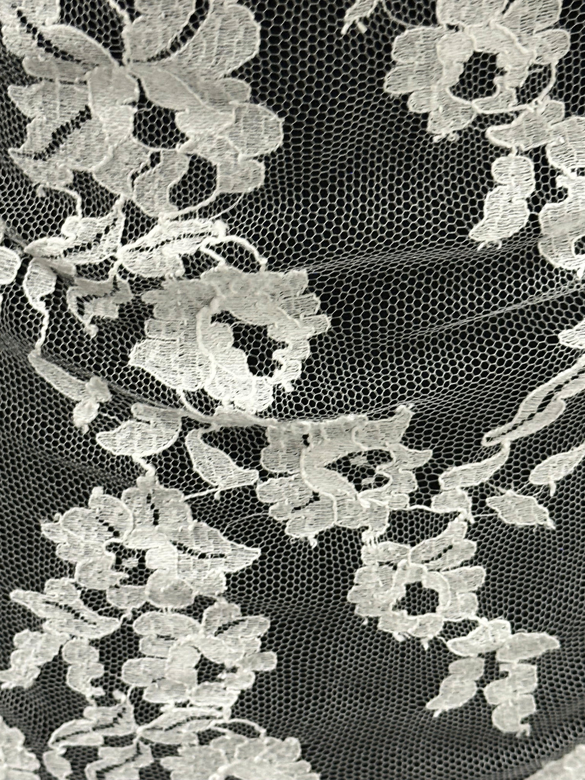 Ivory Chantilly Lace - Crew