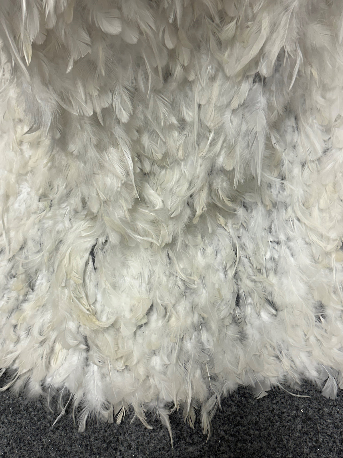 Tulle orné de plumes ivoire - Plume