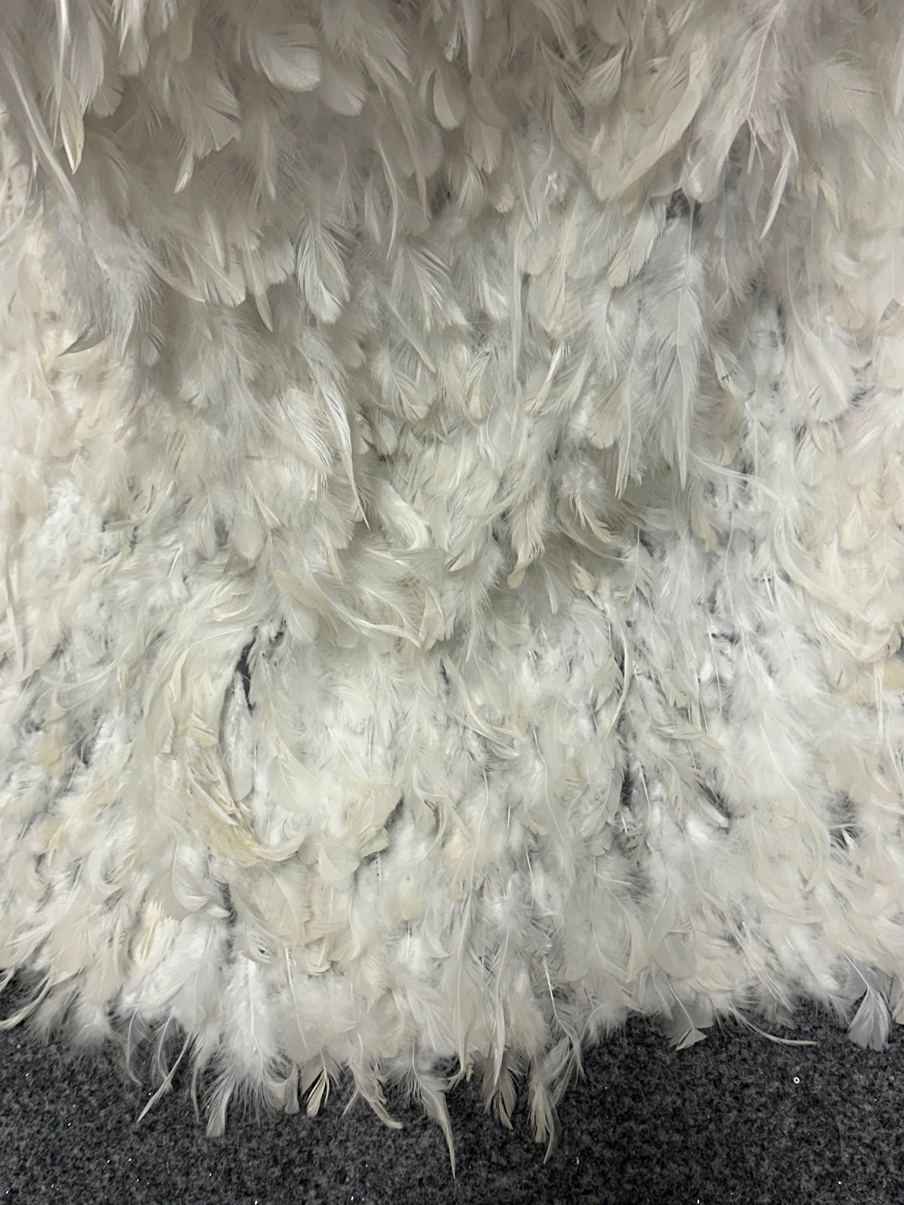 Tulle orné de plumes ivoire - Plume