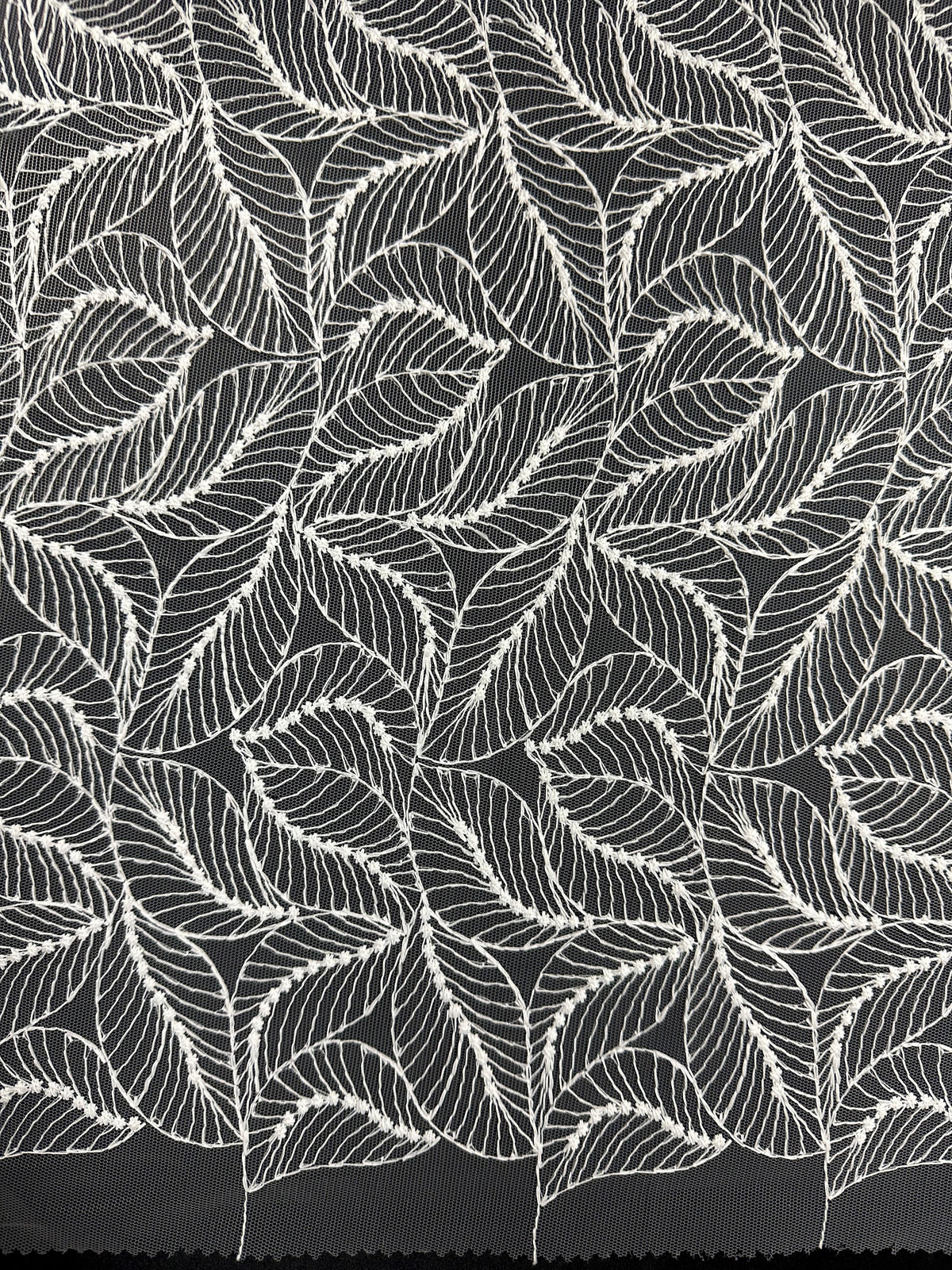 Dentelle Raschel ivoire - Sandra (CF)