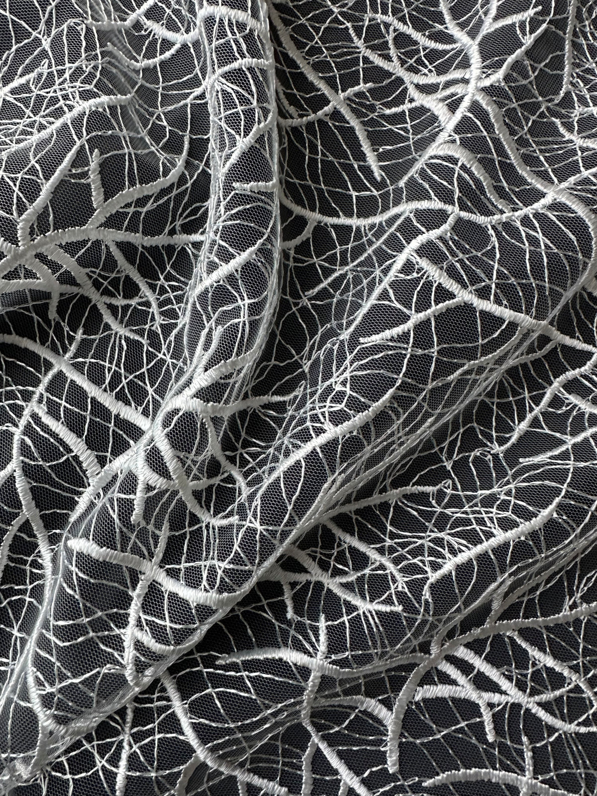 Dentelle florale contemporaine ivoire - EB5012