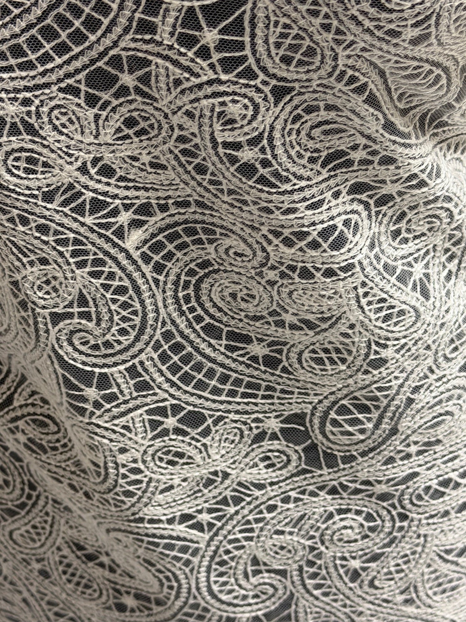 Tulle brodé ivoire - EB5017