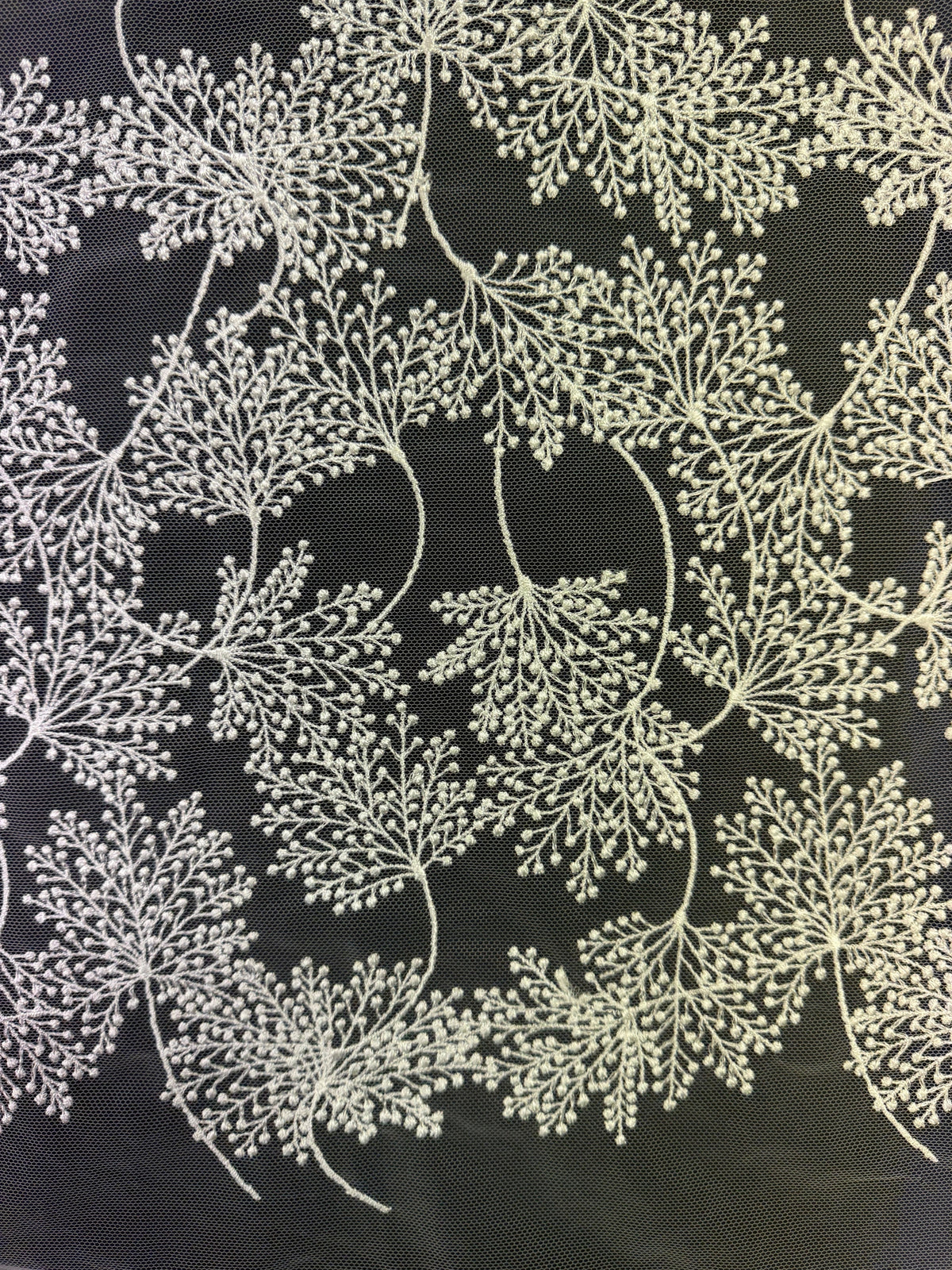 Dentelle brodée de fleurs ivoire - EB5037