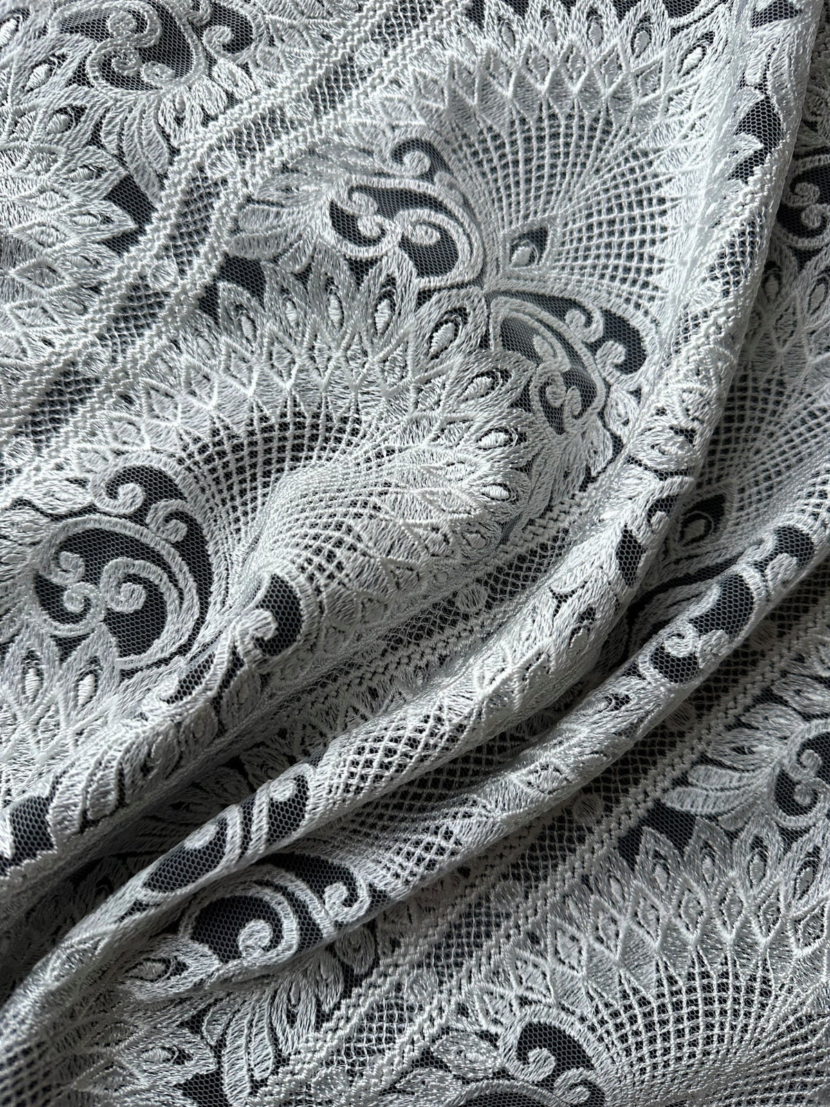 Dentelle brodée ivoire - EB5044