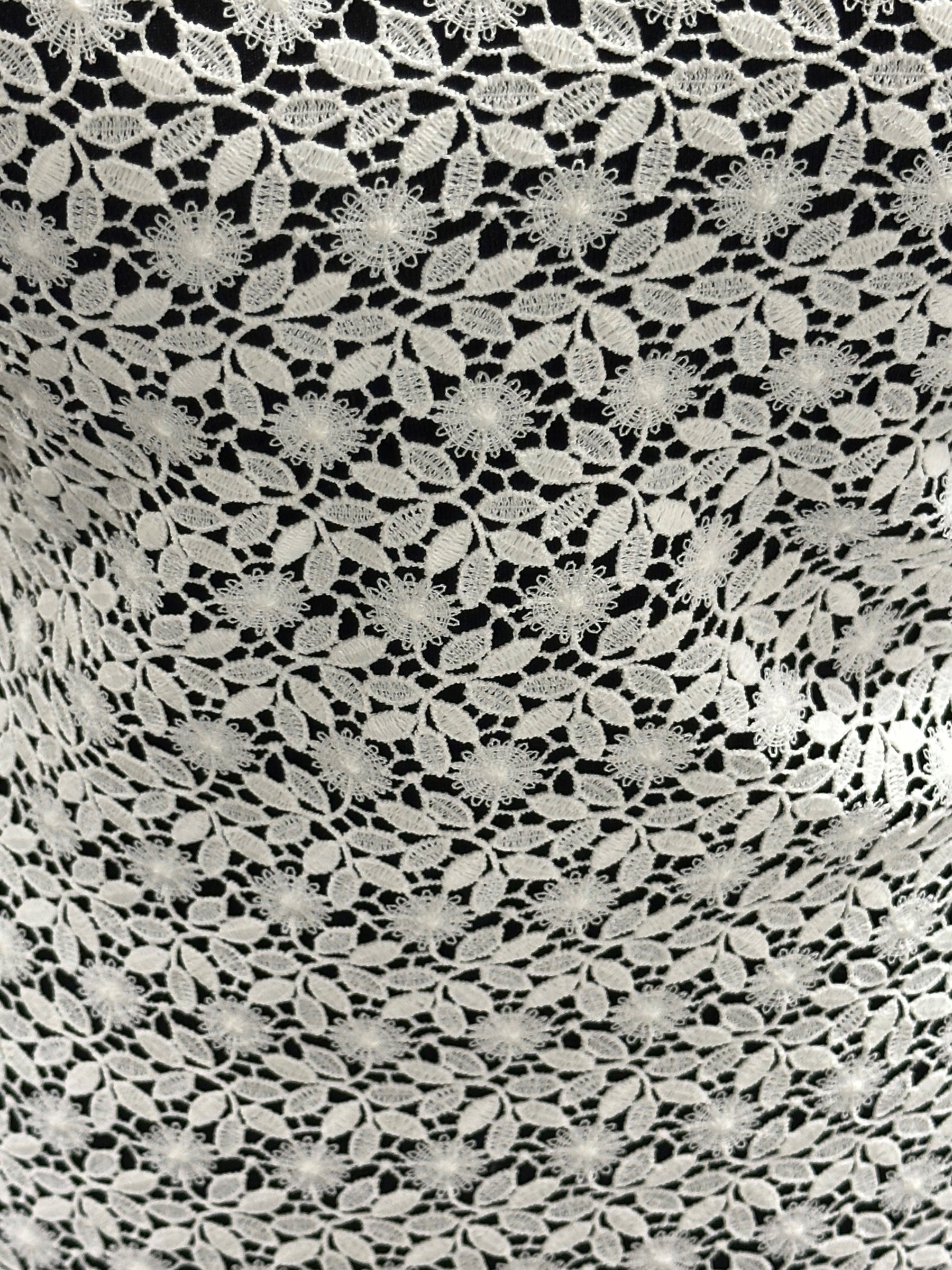 Dentelle guipure ivoire - Nature