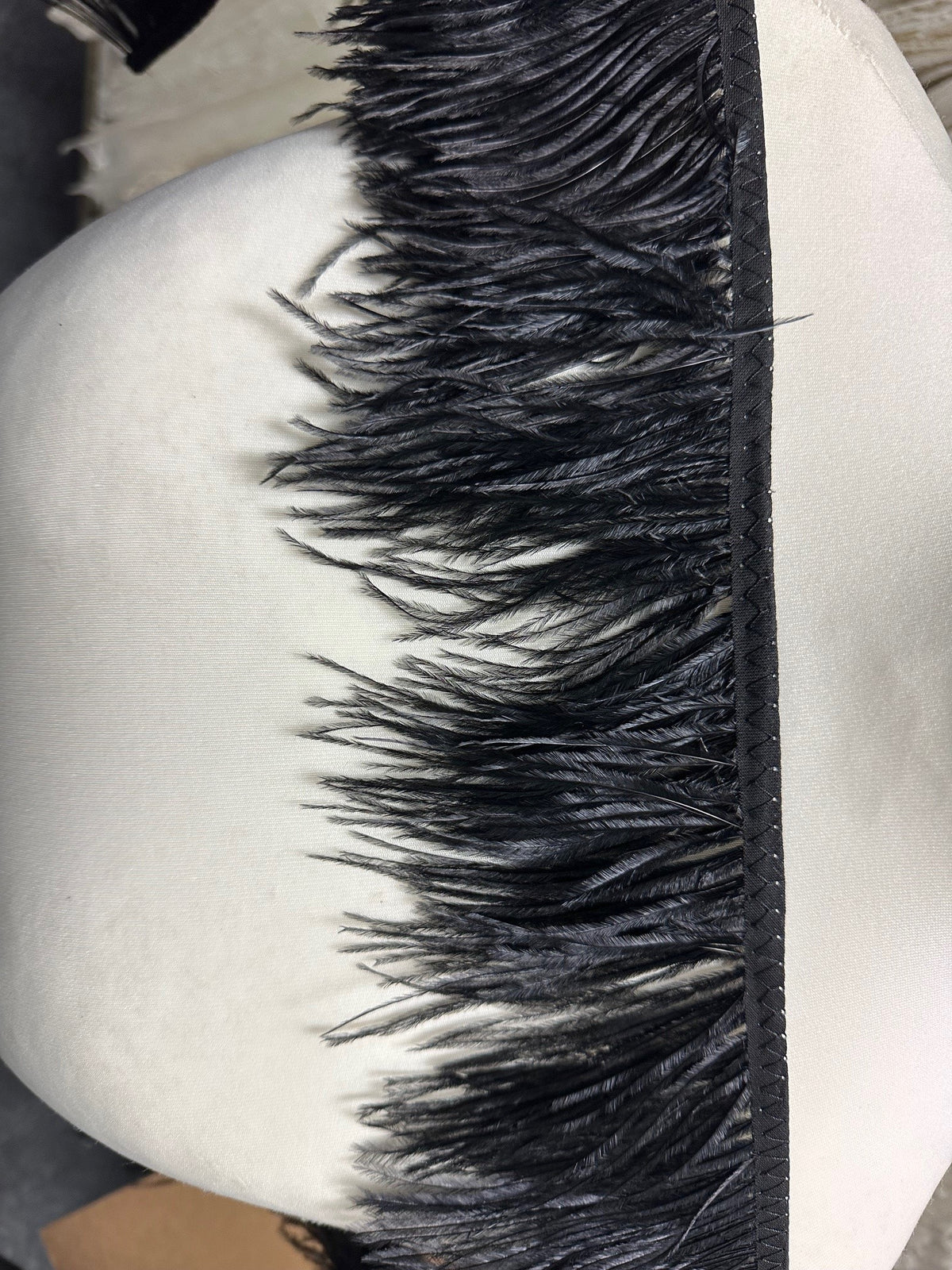 Garniture en plumes noires - Autruche (CF)