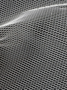 Tulle ivoire - Tudor (CF)