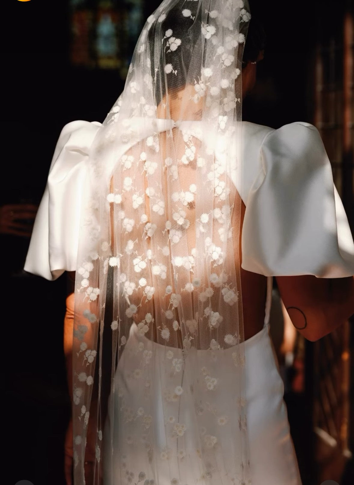 Dentelle brodée ivoire - Lyall